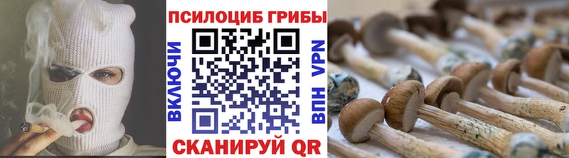Псилоцибиновые грибы Magic Shrooms OMG Уяр